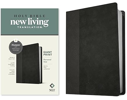 NLT Personal Sized Bible 12 font